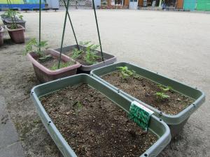 植物がいっぱい