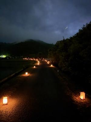 蛍の畦道ライトアップ