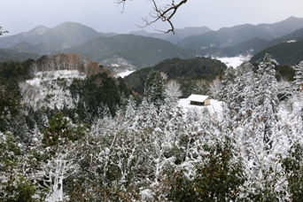 本郭から城内の景観