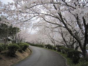 松野中学校