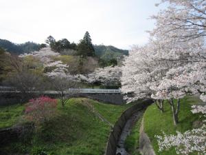 伊井公園