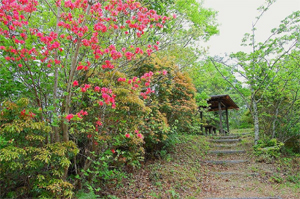 伊井公園　風景