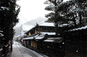 照源寺　階段下からの風景