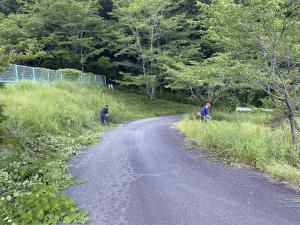 吉野