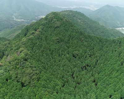 町有林