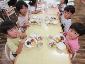 給食の様子