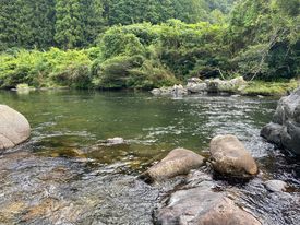 目黒川