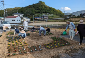 豊岡フラワーロード作業の様子