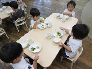 給食の様子