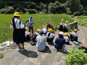 棚田学01