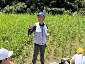 棚田学02