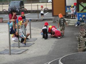 今日の保育園